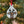 Load image into Gallery viewer, 2024 Rudy the Reindeer Ornament