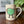 Load image into Gallery viewer, Bird Mug