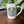 Load image into Gallery viewer, Rabbit Mug