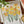 Load image into Gallery viewer, Flour Sack Tea Towel with Daffodils