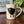 Load image into Gallery viewer, Bird Mug