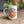 Load image into Gallery viewer, Sweetheart Fox Mug
