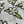 Load image into Gallery viewer, Linen + Cotton Tea Towel with White Flowers