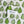 Load image into Gallery viewer, Linen + Cotton Tea Towel with Pears
