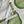 Load image into Gallery viewer, Linen + Cotton Tea Towel with Pears
