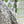 Load image into Gallery viewer, Linen + Cotton Tea Towel with Pears