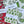 Load image into Gallery viewer, Linen + Cotton Tea Towel with Red Flowers