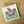 Load image into Gallery viewer, Butterfly Card