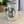 Load image into Gallery viewer, Rabbit Mug