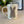 Load image into Gallery viewer, Easter Bunny Mug
