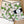 Load image into Gallery viewer, Flour Sack Tea Towel with Dogwood Blossoms