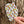 Load image into Gallery viewer, Falling Leaves Sticker