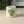 Load image into Gallery viewer, Bird wee Mug