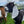 Load image into Gallery viewer, Sunnyfield Goat Milk Soap