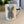 Load image into Gallery viewer, *NOT QUITE PERFECT BUNNY MUG
