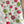 Load image into Gallery viewer, Flour Sack Tea Towel with a Tomato Garden

