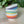 Load image into Gallery viewer, A Set of 3 Striped Mighty Spice Bowls
