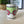 Load image into Gallery viewer, *NOT SO PERFECT* TOMATO MUG #5
