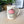 Load image into Gallery viewer, Cupcake Mug
